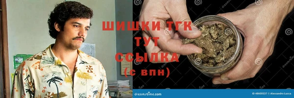 ешки Алзамай