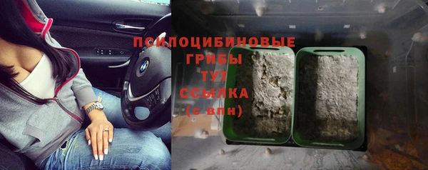 ешки Алзамай