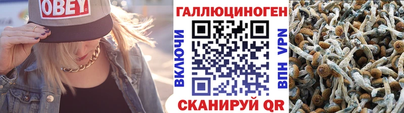 кракен сайт  Пласт  Галлюциногенные грибы прущие грибы 
